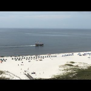 Meet your Posher, Joey